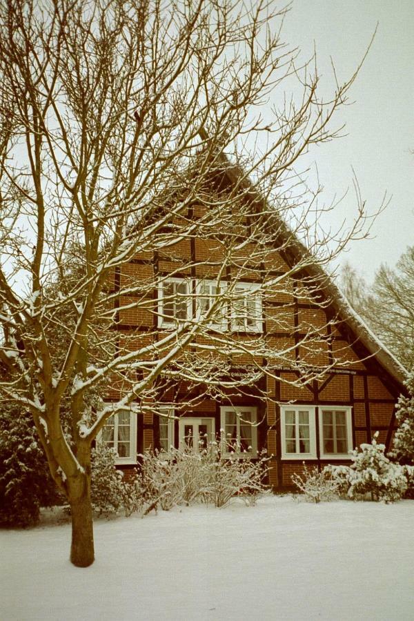 Ferienwohnung Reit- und Bauernhof Klaucke Trebel Exterior foto